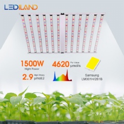 Plant growth lights